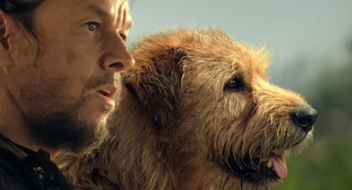 Mój pies Artur na skwerze Kisiela w Piasecznie