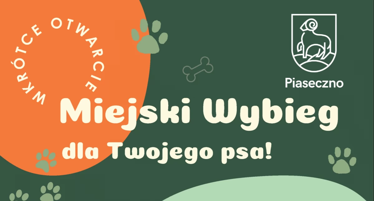 Wybieg dla psów w parku w Piasecznie