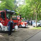 Fotka nr 1 z 7