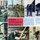 Fotka nr 1 z 16