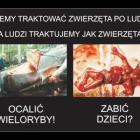Fotka nr 0 z 1