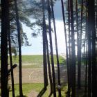 zdjęcie nr 97