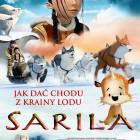 zdjęcie nr 11