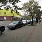 zdjęcie nr 7