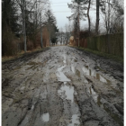 zdjęcie nr 15
