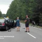 Fotka nr 2 z 4