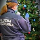 Fotka nr 2 z 5