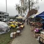 zdjęcie nr 14