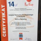 zdjęcie nr 11