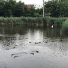 zdjęcie nr 14
