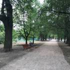 zdjęcie nr 12