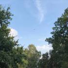 zdjęcie nr 8