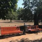 zdjęcie nr 7