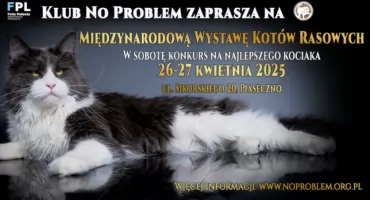 Wystawa Kotów Rasowych w Piasecznie 2025