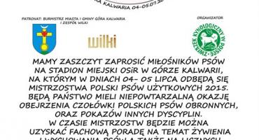 Mistrzostwa Psów Użytkowych